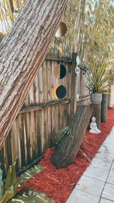 Peaceful Studio Clearwater Beach Εξωτερικό φωτογραφία